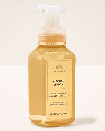 Orange Ginger Gentle & Clean Foaming Hand Soap